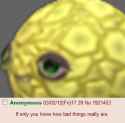 101 KB
