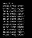 223 KB