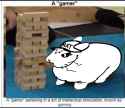 544 KB