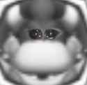 549 KB
