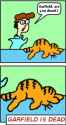 36 KB