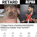 439 KB