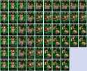 1.33 MB