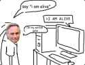 253 KB