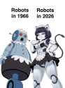 255 KB