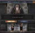 73 KB