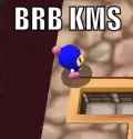 239 KB