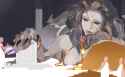 540 KB