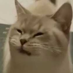 18 KB