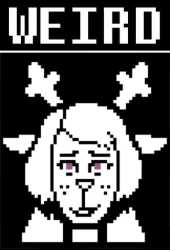 22 KB