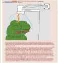 184 KB