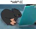 1.22 MB