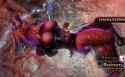 246 KB