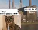 22 KB