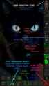 230 KB
