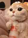 56 KB