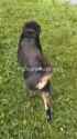 2.08 MB