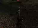 2.89 MB