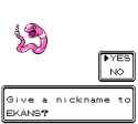 2 KB