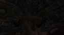 2.59 MB