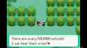 62 KB