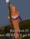 23 KB