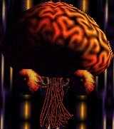 6 KB