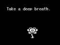 2 KB