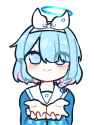 244 KB