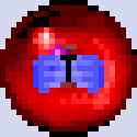 25 KB