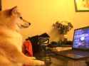 63 KB