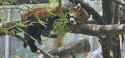 2.25 MB