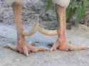 39 KB