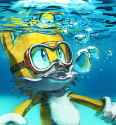 387 KB