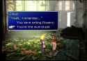 233 KB