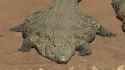 734 KB