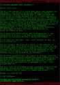 31 KB