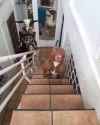 289 KB