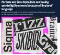 242 KB