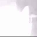 81 KB