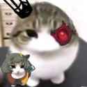 7 KB