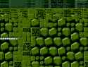 31 KB