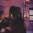 714 KB