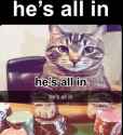 43 KB