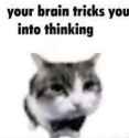 35 KB