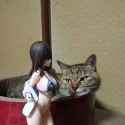 55 KB