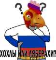 42 KB