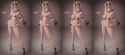1.13 MB