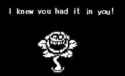 17 KB