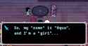 184 KB